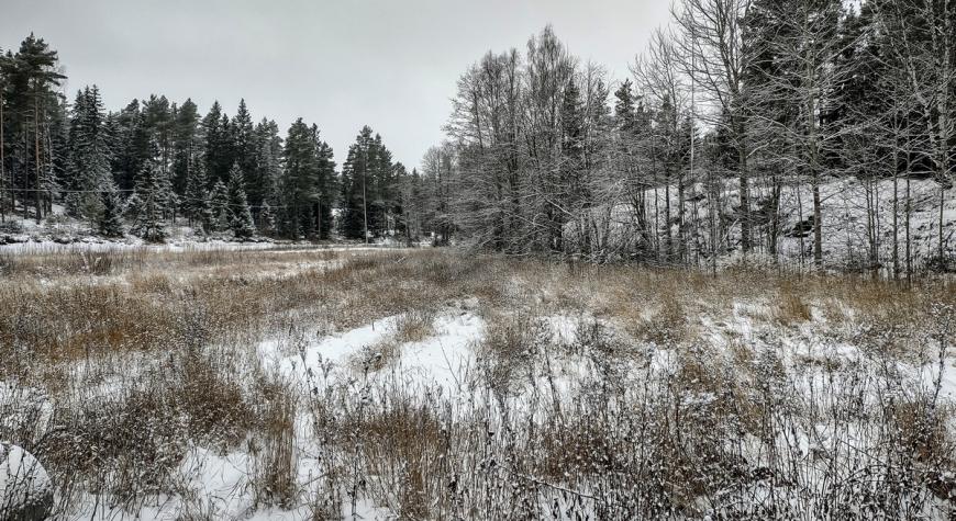 IMG 20221127 135332353 HDR