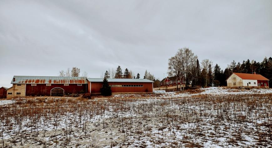 IMG 20230213 135204592 HDR