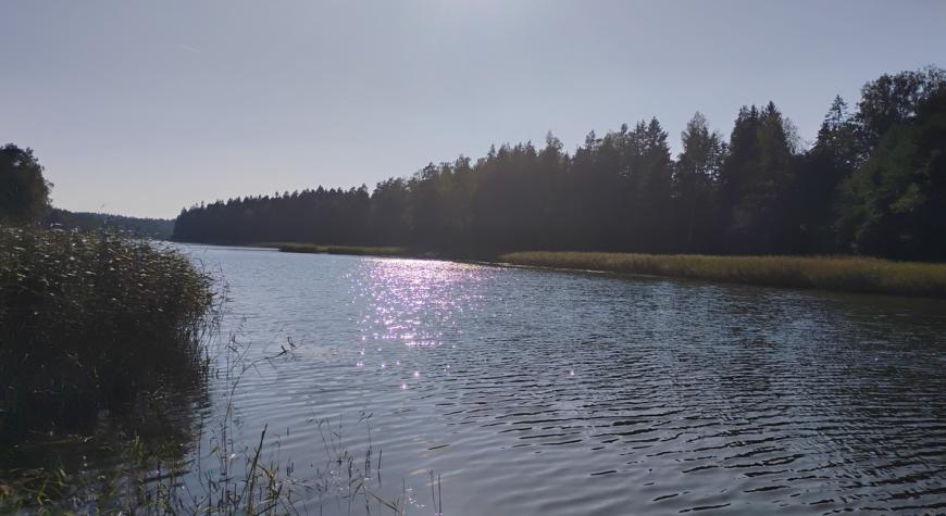 IMG 20250909 162318767