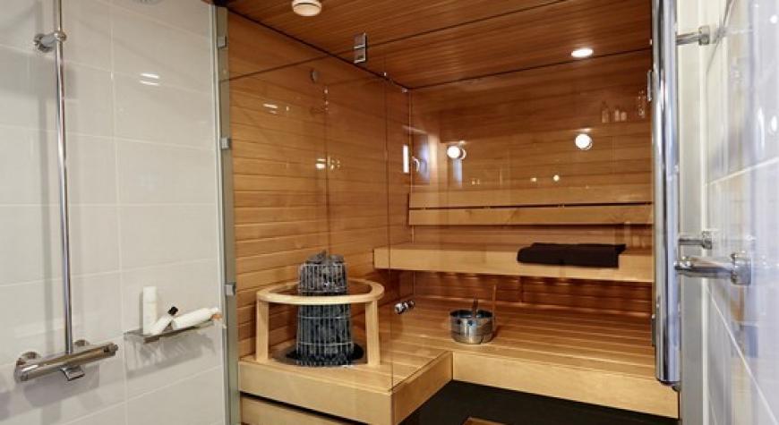 sauna2